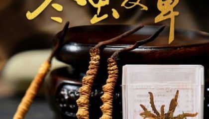 2025年桑黄如何购买：2025购买指南推荐