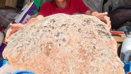 坠落广东的火流星被挖出 重423公斤命名为“茂名”