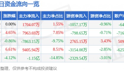 股票行情快报：远光软件（002063）2月24日主力资金净买入1704.07万元