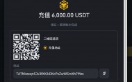 USDTAPP下载(usdtapp官网下载)