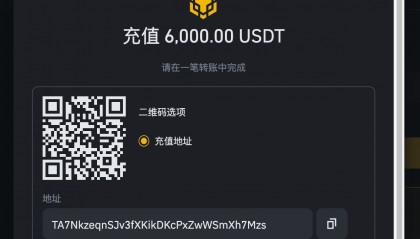 USDTAPP下载(usdtapp官网下载)