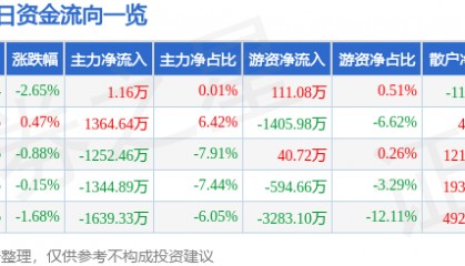 股票行情快报：南天信息（000948）3月21日主力资金净买入1.16万元