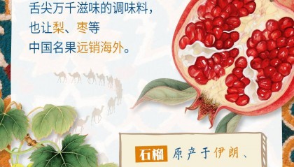 砥砺奋进七十载 天山南北谱华章｜“馕”括万里的新疆味道