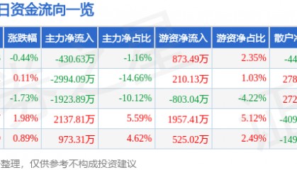 股票行情快报：方正电机（002196）6月10日主力资金净卖出430.63万元