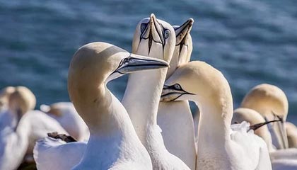 相恋2年生下一女,女子再次怀孕6个月男友去世,生下遗腹子想要80万赔偿款遭拒:没领证是外人