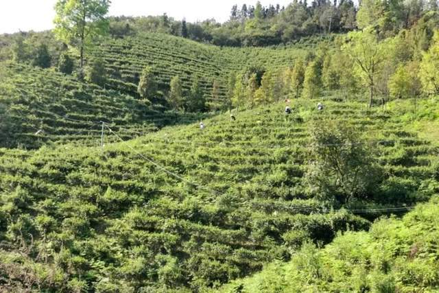 中国能建：赋能八桂大地 共建壮美广西