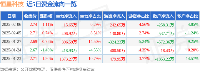 股票行情快报：恒星科技（002132）2月6日主力资金净买入15.65万元