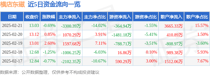 股票行情快报：横店东磁（002056）2月21日主力资金净卖出3300.39万元