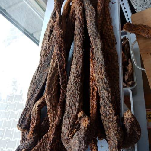 肉苁蓉如何购买：深度购买指南发布